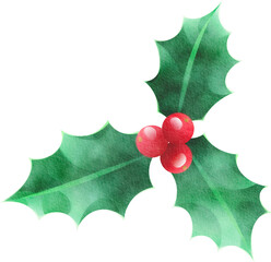 Watercolor holly berries and leaves illustration for Christmas decoration