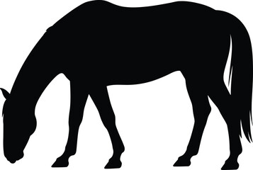 Obraz premium Horse silhouette vector illustration of grazing horse equine animal mammal black and white clip art design