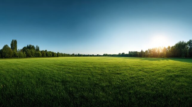 A panoramic shot of a green pasture glowing under the afternoon sun, the vibrant summer grass stretching out to the horizon, dappled with sunlight and surrounded by distant trees