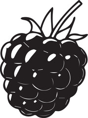 Adobe Illustrator Artwork raspberry