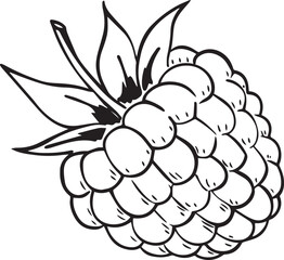 Adobe Illustrator Artwork raspberry