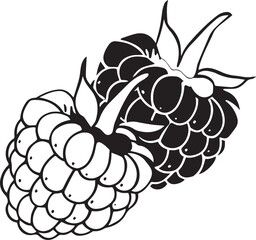 Adobe Illustrator Artwork raspberry