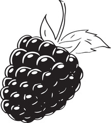 Adobe Illustrator Artwork raspberry