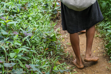 Barefoot Walk Along Forest Path in Baduy Territory, Banten, Indonesia