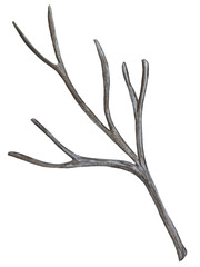 Hand paint watercolor autumn set of pumpkins, acorns, autumn leaves, mushrooms, rowan berry, isolated on white background. Perfect for creating cards, design. Thanksgiving day illustrations