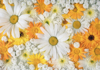 yellow flowers background