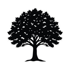 Fototapeta premium Black silhouette of a large leafy tree