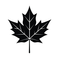 Black maple leaf silhouette with veins