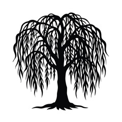 Weeping willow tree silhouette