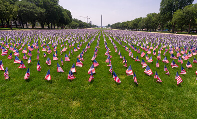 US flags near the Washington Monument. USA banner on Independence Day. National Mall in DC with...