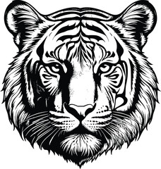 Fototapeta premium High detail flat vector icon of a tiger head line art