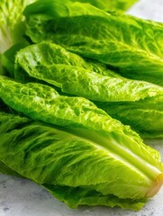 Fresh romaine lettuce leaves display vibrant green colors and crisp textures, perfect for healthy cooking, recipes, or showcasing freshness in food-related content,