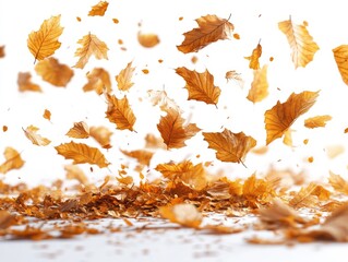 Falling autumn leaves