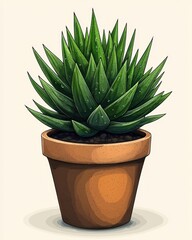 Potted succulent plant