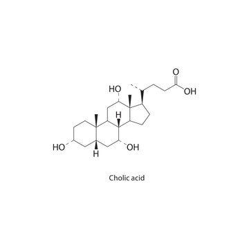 Cholic acid skeletal structure. Bile acid compound schematic illustration. Simple diagram, chemical formula.
