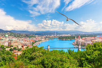 Aerial Panorama of Budapest with Chain Bridge, Parliament and seagull over the Danube, Hungary