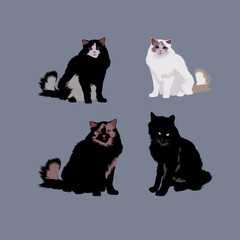A charming collection of four distinct fluffy cat illustrations, showcasing a variety of feline friends in different coats and colors. 