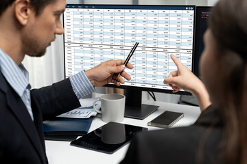 Accounting software on computer screen showing financial statement spreadsheets and account balance...