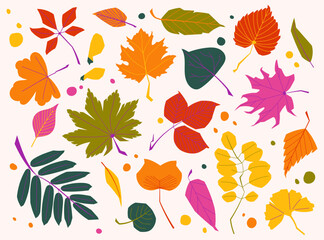 Set of colorful autumn leaves in flat vector style. Perfect for seasonal design, fall decoration and packaging