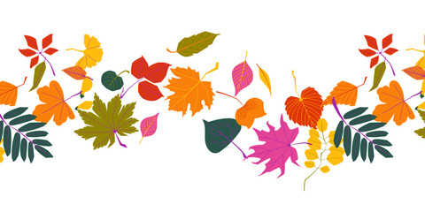 Colorful autumn leaves seamless border pattern with rowan, maple, birch and other fall foliage on white background. Perfect for seasonal decor, packaging and invitations