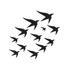 Bird Flock In Formation Flight Silhouette