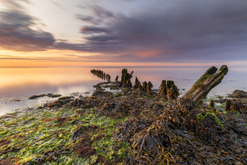 At the edge of the Wadden Sea, where land, sea, and sky converge, silent remnants of the past...