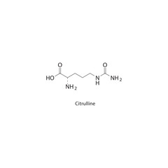 Citrulline skeletal structure. Non-proteinogenic amino acid compound schematic illustration. Simple diagram, chemical formula.