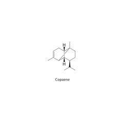 Copaene skeletal structure. Sesquiterpene compound schematic illustration. Simple diagram, chemical formula.