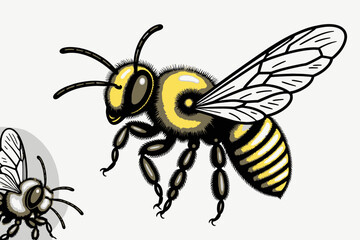 Obraz premium Honey Bee Illustration- Detailed Drawing of a Bee with Striking Black and Yellow Markings- Focus on Pollination and Bee Anatomy Depicted