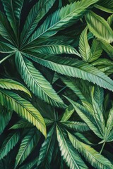 Rich green cannabis foliage background