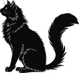 elegant silhouette of a fluffy long-haired cat sitting and looking up