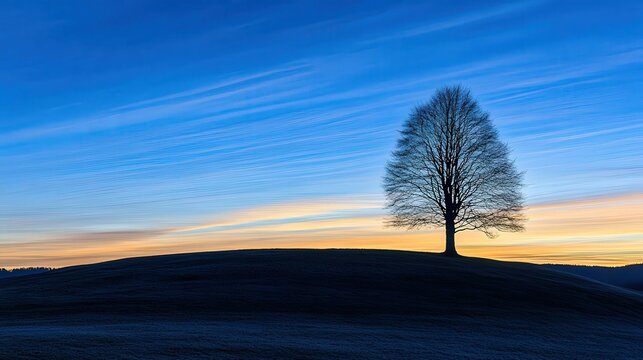 Bare tree stands on hill at twilight against blue and orange sky