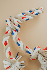 Bright twisted rope dog toy for interactive pet games and bite training concept