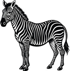 Striped Elegance A Detailed Vector Illustration of a Zebra