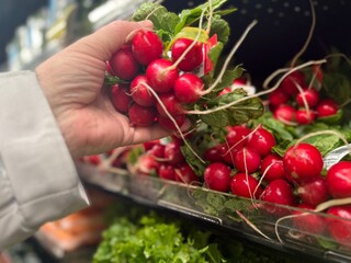 On the display case of the market there are various organic vegetables - carrots, onions, beets,...