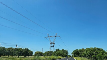 Power Transmission Tower with Multiple Stork Nests in Rural Area