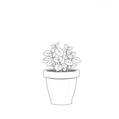A potted mint plant on a balcony ledge