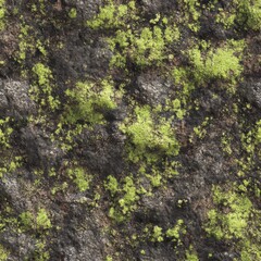 Bright lichen moss texture with dark soil base
