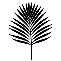 open book with feather