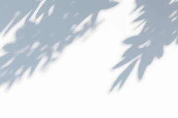 Fototapeta premium Elegant Leaf Shadow Overlay High-Resolution Texture for Design Projects, Perfect for Adding Subtle Natural Elements to Your Artwork and Photography