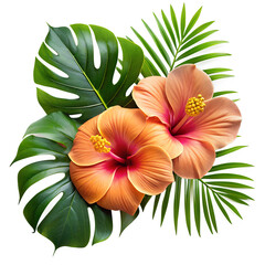 Two hibiscus flowers with monstera and palm leaves isolated on transparent background