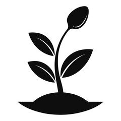 Flourishing Sprout A Symbol of Growth and New Beginnings