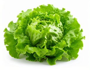 Fresh organic green lettuce leaves, a healthy raw vegetable food ingredient, isolated on a white background