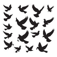 Obraz premium Collection of black silhouettes of flying doves and birds on a white background