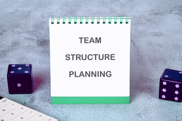Conceptual text, phrase, words Team Structure Planning The concept of development and business,...