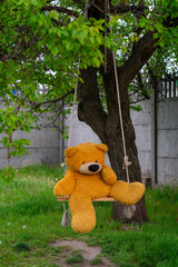 teddy bear in the garden