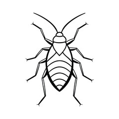 vector illustration of a aphid