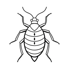 vector illustration of a bedbug