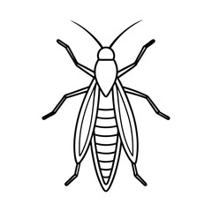 caddisfly insect line vector illustration