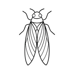 cicadella insect line vector illustration